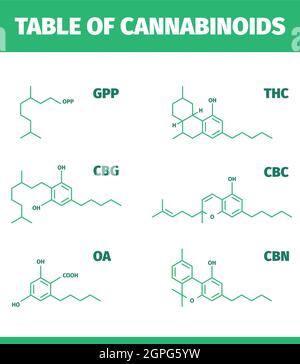 Cannabinoidstrukturen. Molekulare Formel von Cannabisdrogen Chemie Medizinische Symbole Vektor-Infografiken Stock Vektor