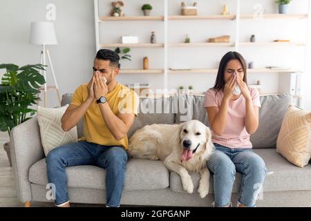 Ein junges, vielfältiges Paar, das Erkältung oder Grippe hat, Nasen in Papiertaschentücher bläst und mit seinem Hund auf der Couch sitzt Stockfoto