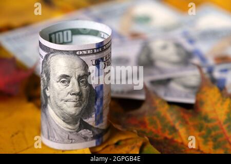 US-Dollar-Banknoten auf gelben Ahornblättern. US-Wirtschaft zum Herbstkurs, Dollarkurs Stockfoto