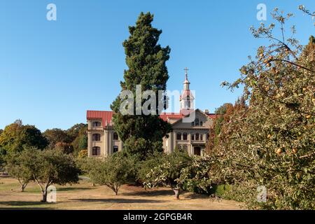 St. Ann's Academy, Blick auf Apfelgarten im Herbst Stockfoto