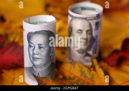 US-Dollar- und chinesische Yuan-Banknoten auf Ahornblättern. Konzept der Wirtschaft im Herbst, Handelskrieg zwischen China und den USA, Sanktionen, Tourismus Stockfoto