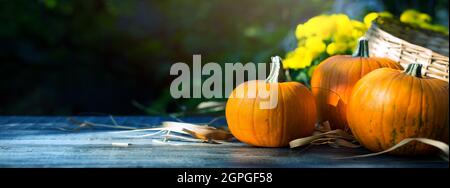 Hallo Herbst. Thanksgiving Feiertags Party Hintergrund, Herbstkürbis auf Holztisch Stockfoto