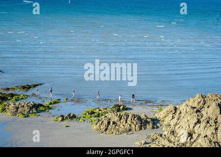 Frankreich, Cotes d'Armor, Saint-Jacut-de-la-Mer, searesort entlang der GR 34 Wanderweg oder Zollweg, Pointe du chevet Stockfoto