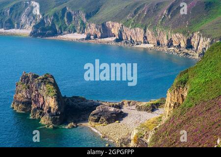 Frankreich, Cotes d'Armor, Plevenon, Grand Site de France Cap d'Erquy - Cap Frehel, Anse des Sévignés entlang des Wanderwegs GR 34 oder Zollweges Stockfoto