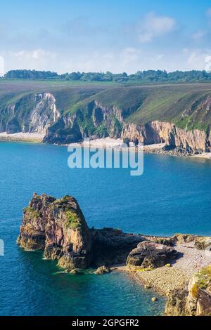 Frankreich, Cotes d'Armor, Plevenon, Grand Site de France Cap d'Erquy - Cap Frehel, Anse des Sévignés entlang des Wanderwegs GR 34 oder Zollweges Stockfoto