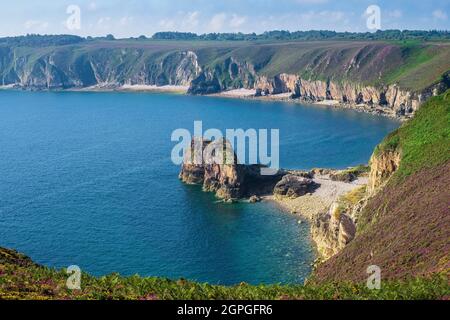 Frankreich, Cotes d'Armor, Plevenon, Grand Site de France Cap d'Erquy - Cap Frehel, Anse des Sévignés entlang des Wanderwegs GR 34 oder Zollweges Stockfoto