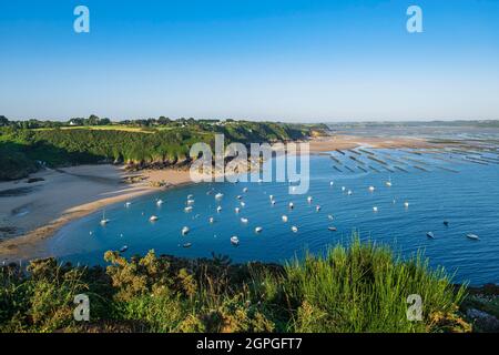 Frankreich, Cotes d'Armor, Saint-Cast-le-Guildo, Strand La Fresnaye und Bucht entlang des GR 34-Wanderweges oder Zollweges Stockfoto