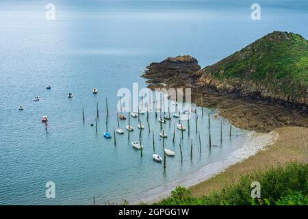 Frankreich, Cotes d'Armor, Plouha, der Pfahlhafen von Gwin Zegal entlang des Wanderweges GR 34 oder Zollweges Stockfoto