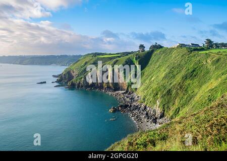 Frankreich, Cotes d'Armor, Plouha, Klippen entlang des GR 34-Wanderweges oder Zollweges Stockfoto