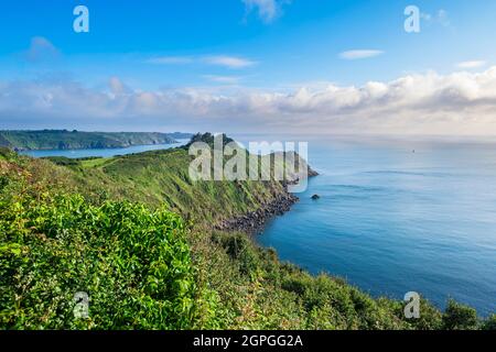 Frankreich, Cotes d'Armor, Plouha, Klippen entlang des GR 34-Wanderweges oder Zollweges Stockfoto