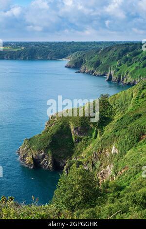 Frankreich, Cotes d'Armor, Plouha, der Wanderweg GR 34 oder Zollweg folgt den Plouha-Klippen, dem höchsten der Bretagne Stockfoto