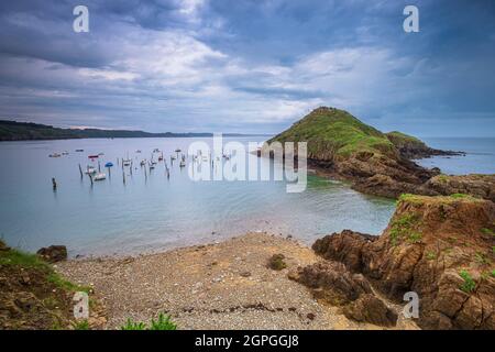 Frankreich, Cotes d'Armor, Plouha, der Pfahlhafen von Gwin Zegal entlang des Wanderweges GR 34 Stockfoto