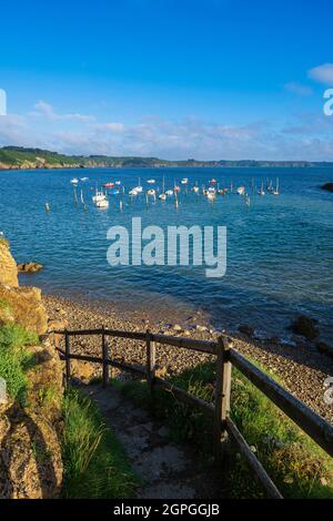 Frankreich, Cotes d'Armor, Plouha, der Pfahlhafen von Gwin Zegal entlang des Wanderweges GR 34 Stockfoto