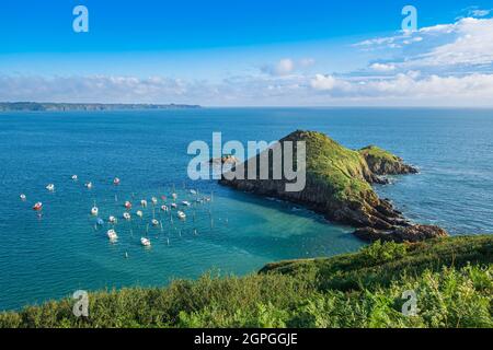 Frankreich, Cotes d'Armor, Plouha, der Pfahlhafen von Gwin Zegal entlang des Wanderweges GR 34 Stockfoto