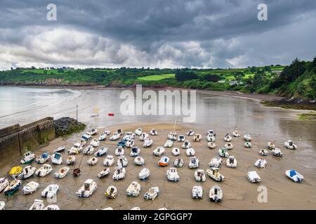 Frankreich, Cotes d'Armor, Plouha, Hafen Brehec entlang des Wanderweges GR 34 oder Zollweges Stockfoto