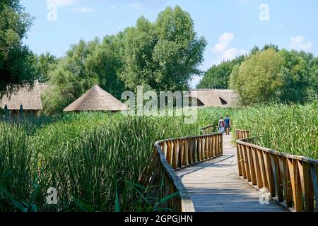 Naturpark Kroatien, Slawonien, Kopacki Rit, von der UNESCO als Biosphärenreservat gelistet Stockfoto