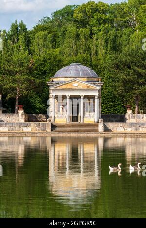 France, Eure, Sainte opportune du Bosc, Castle and Battlefield Garden von Interior Designer Jacques Garcia, Leda Temple, African Goose, domestizierte Schwanengans (Anser cygnoid) Stockfoto