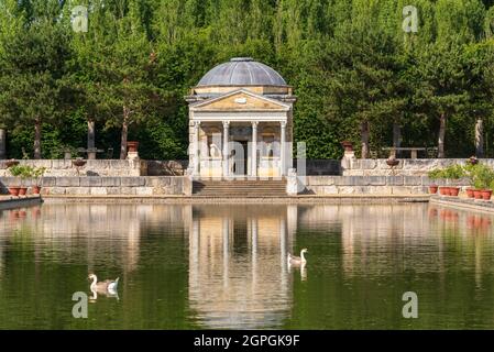 France, Eure, Sainte opportune du Bosc, Castle and Battlefield Garden von Interior Designer Jacques Garcia, Leda Temple, African Goose, domestizierte Schwanengans (Anser cygnoid) Stockfoto