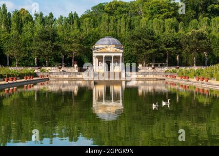 France, Eure, Sainte opportune du Bosc, Castle and Battlefield Garden von Interior Designer Jacques Garcia, Leda Temple, African Goose, domestizierte Schwanengans (Anser cygnoid) Stockfoto