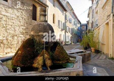 Frankreich, Vaucluse, Saint Didier, Kirchplatz (Place de l'Eglise), Brunnen von 1685 Stockfoto