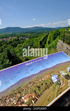 Frankreich, Bas Rhin, Obernai, Schenkenberg, Denkmal, belvedere, Blick auf den Mont Sainte Odile, die Vogesen Stockfoto