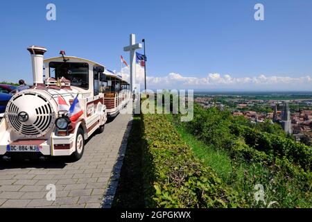 Frankreich, Bas Rhin, Obernai, Schenkenberg, Denkmal, belvedere, Blick auf die Stadt, der kleine Touristenzug Stockfoto