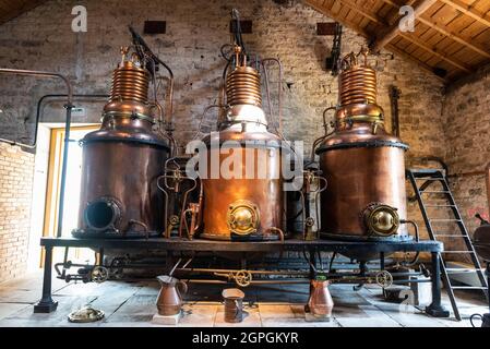 Frankreich, Haute Saone, Fougerolles, Kirschökomuseum, Stills Stockfoto