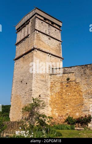 Frankreich, Haute Saone, Oricourt, mittelalterliche Burg von Oricourt aus dem 12. Jahrhundert Stockfoto