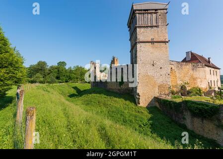 Frankreich, Haute Saone, Oricourt, mittelalterliche Burg von Oricourt aus dem 12. Jahrhundert Stockfoto