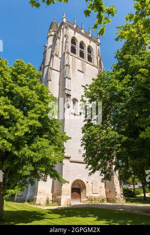 Frankreich, Eure, Le Bec Hellouin, beschriftet die schönsten Dörfer Frankreichs, Abtei Notre Dame du Bec, katholische benediktinerabtei, der Turm Saint Nicolas aus dem 15. Jahrhundert Stockfoto