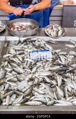 Portugal, Algarve, Olhao, die Altstadt, der Fischmarkt Stockfoto