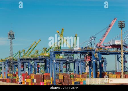 Rio de Janeiro, Brasilien - 27. Januar 2021: Hafenkrane am Hafen von Rio de Janeiro. Stockfoto