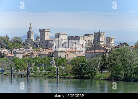 Frankreich, Vaucluse, Avignon, das historische Zentrum und der Palais des Papes, der von der UNESCO zum Weltkulturerbe erklärt wurde Stockfoto