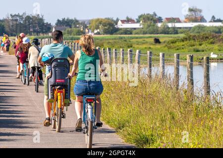 Frankreich, Somme (80), Baie de Somme, Le Crotoy, Marais du Crotoy, Radfahrer auf dem Radweg entlang der Sumpflandschaft Crotoy Stockfoto