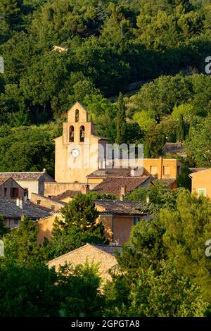 Frankreich, Vaucluse, Parc Naturel Regional du Mont Ventoux, Flassan Stockfoto