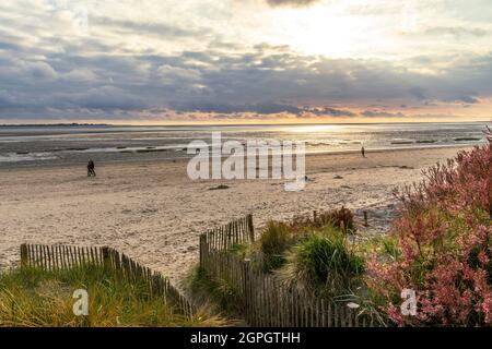 Frankreich, Somme, Baie de Somme, Le Crotoy, der Strand an einem Frühlingsabend nutzen einige Wanderer eine Lichtung und blühende Tamarisken-Bäume in den Dünen Stockfoto