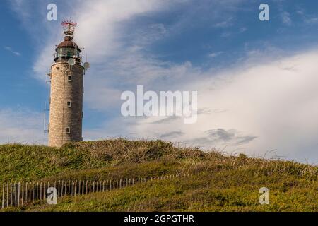 Frankreich, Pas de Calais, Cap Gris nez, die Fußgängerzone zwischen Cap Gris nez und Cran aux Oeufs im Frühjahr, während die Armeria Maritima (Armeria maritima oder spanischer Rasen) in voller Blüte stehen Stockfoto