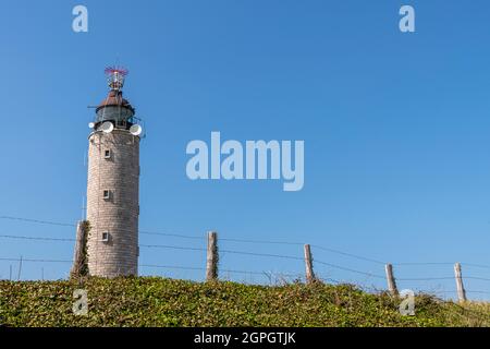 Frankreich, Pas de Calais, Cap Gris nez, die Fußgängerzone zwischen Cap Gris nez und Cran aux Oeufs im Frühjahr, während die Armeria Maritima (Armeria maritima oder spanischer Rasen) in voller Blüte stehen Stockfoto