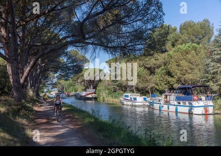 Frankreich, Aude, Salleles d'Aude, der Canal du Midi, der von der UNESCO zum Weltkulturerbe erklärt wurde, Radfahrer auf dem Schlepptau Stockfoto