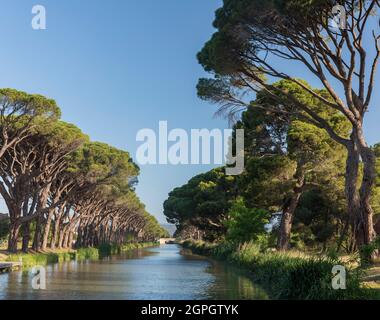 Frankreich, Aude, Salleles d'Aude, der Canal du Midi, der von der UNESCO zum Weltkulturerbe erklärt wurde Stockfoto