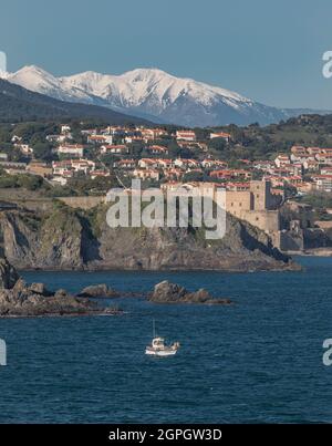 Frankreich, Pyrenäen-Orientales, Collioure und das schneebedeckte Canigou-Massiv Stockfoto