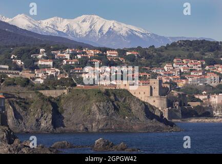 Frankreich, Pyrenäen-Orientales, Collioure und das schneebedeckte Canigou-Massiv Stockfoto