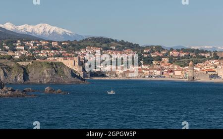 Frankreich, Pyrenäen-Orientales, Collioure und das schneebedeckte Canigou-Massiv Stockfoto