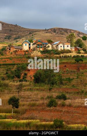 Madagaskar, Zentralhochland, ehemalige Provinz Antananarivo, Region Vakinancaratra, zwischen Betafo und Antsirabe, Reisfelder im Land der Betsileo-Volksgruppe Stockfoto