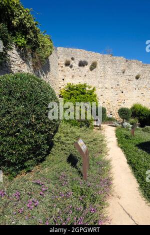 Frankreich, Var, Ollioules, unter dem Schloss, im Vintimille-Garten, Ein ehemaliger mittelalterlicher Garten Stockfoto