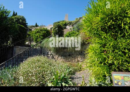 Frankreich, Var, Ollioules, unter dem Schloss, im Vintimille-Garten, Ein ehemaliger mittelalterlicher Garten Stockfoto