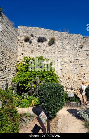 Frankreich, Var, Ollioules, unter dem Schloss, im Vintimille-Garten, Ein ehemaliger mittelalterlicher Garten Stockfoto