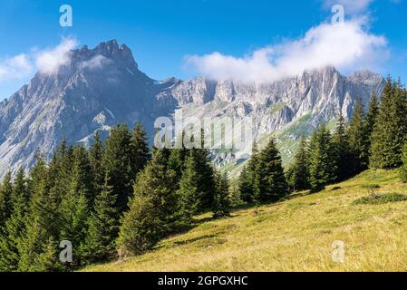 Frankreich, Haute-Savoie (74), Massif du Mont Blanc, les Contamines Montjoie, Col de la Fenêtre, les Aiguilles de la Pennaz (2688m), le Col des Chasseurs und la Tête de la Cicle (2552 m) auf der rechten Seite Stockfoto