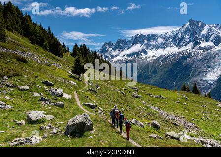 Frankreich, Haute-Savoie (74), Chamonix, les Houches, Aiguilles Rouges-Massiv, l'Aiguillette des Houches, Wanderer klettern in Richtung der Chalets de Chailloux mit dem Mont-Blanc-Massiv im Hintergrund Stockfoto