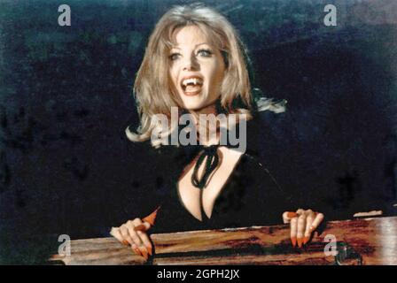 GRÄFIN DRACULA 1971 Rang Film mit Ingrid Pitt als Gräfin Nadasdy Stockfoto